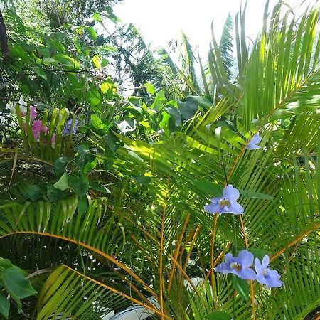 Bed And Breakfast Maison Papaye ลากูแล็ตต์ ภายนอก รูปภาพ