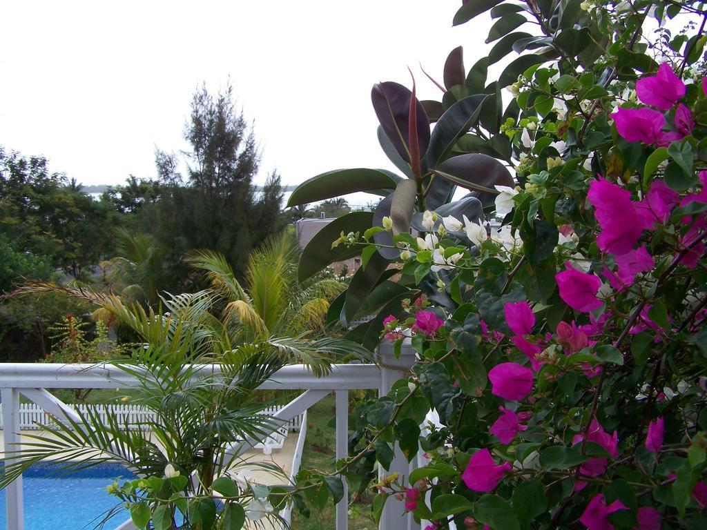 Bed And Breakfast Maison Papaye ลากูแล็ตต์ ภายนอก รูปภาพ