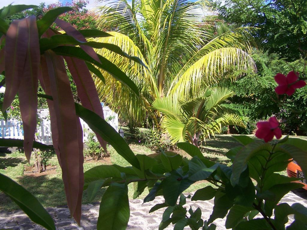 Bed And Breakfast Maison Papaye ลากูแล็ตต์ ภายนอก รูปภาพ