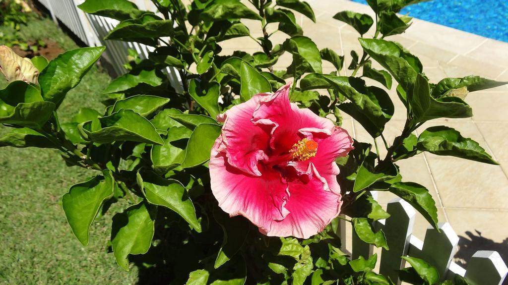 Bed And Breakfast Maison Papaye ลากูแล็ตต์ ภายนอก รูปภาพ