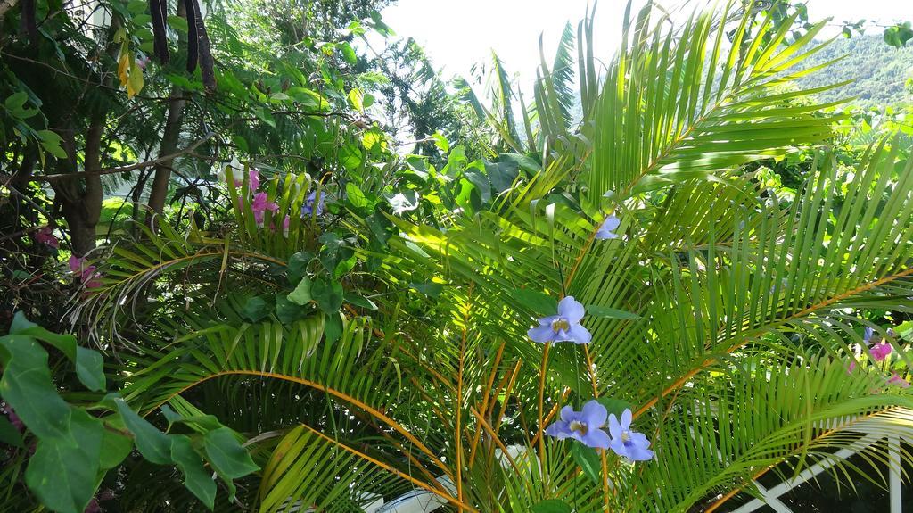 Bed And Breakfast Maison Papaye ลากูแล็ตต์ ภายนอก รูปภาพ