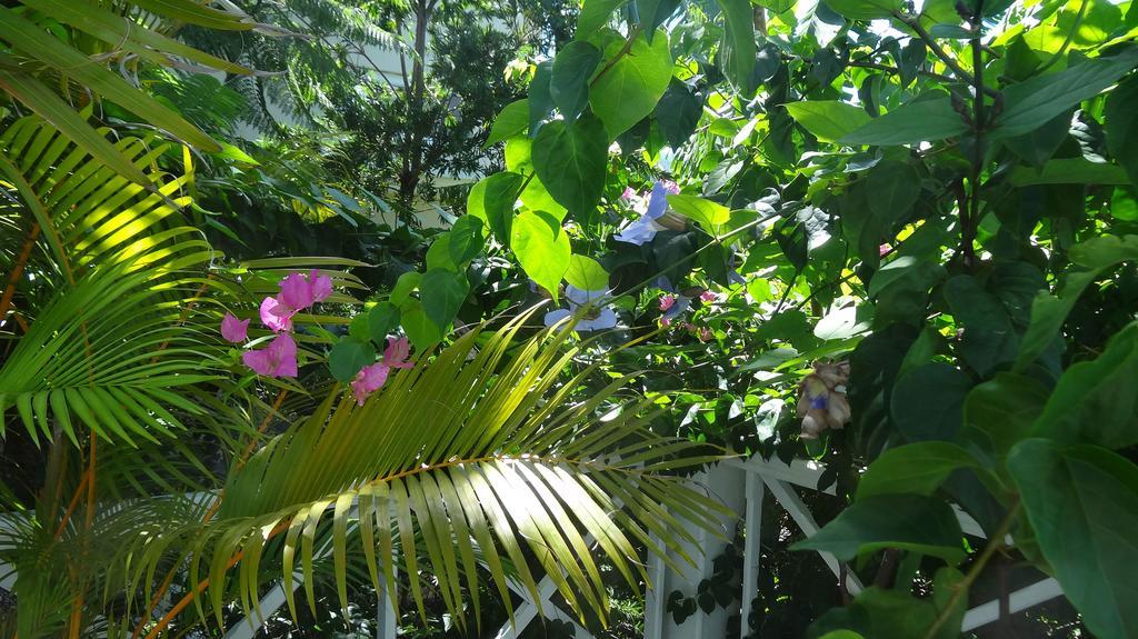 Bed And Breakfast Maison Papaye ลากูแล็ตต์ ภายนอก รูปภาพ