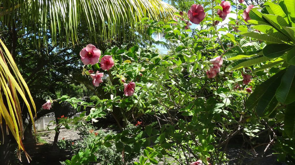 Bed And Breakfast Maison Papaye ลากูแล็ตต์ ภายนอก รูปภาพ