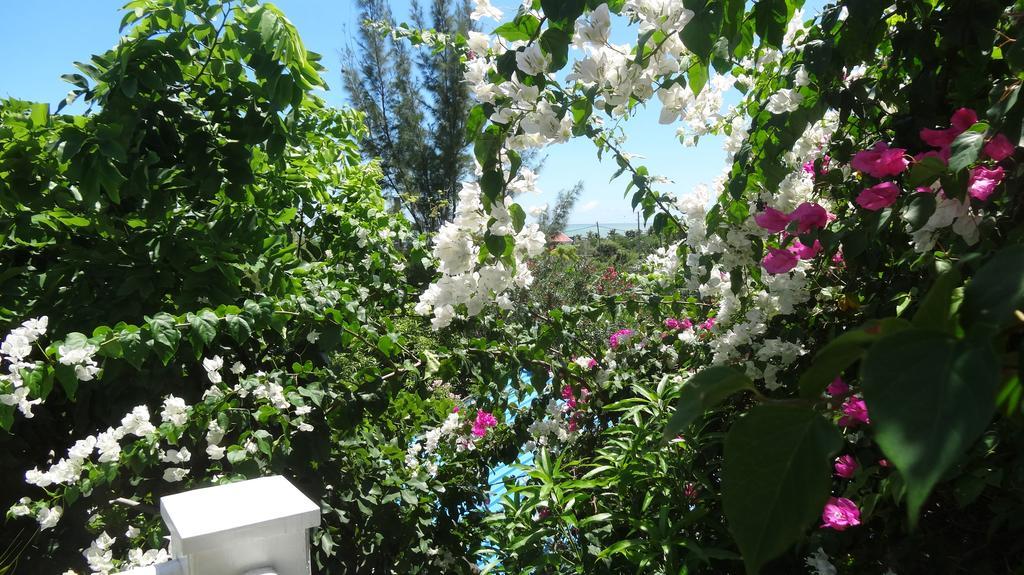 Bed And Breakfast Maison Papaye ลากูแล็ตต์ ภายนอก รูปภาพ